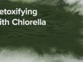 Detoxifying with Chlorella