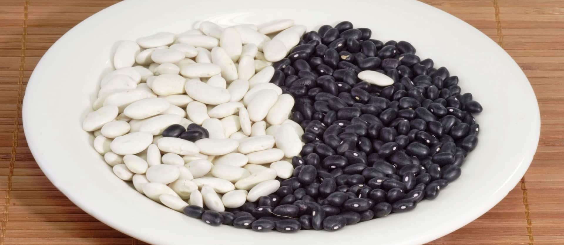 Phytates for Rehabilitating Cancer Cells