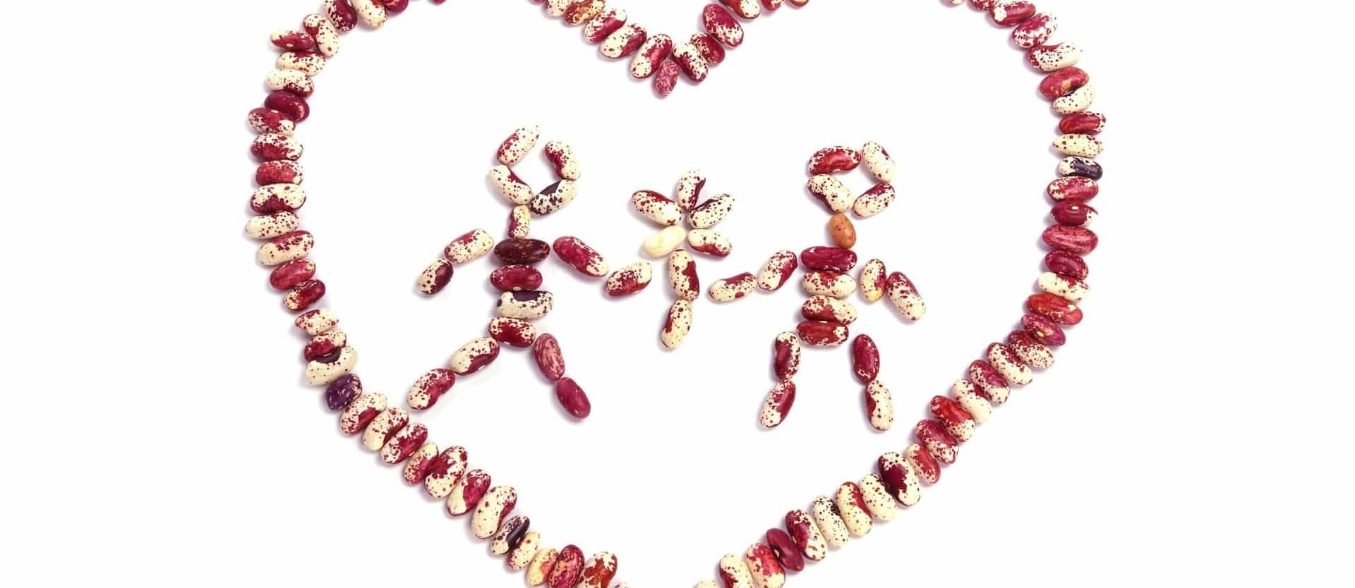 Increased Lifespan From Beans