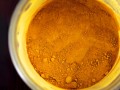 Turmeric Curcumin and Pancreatic Cancer