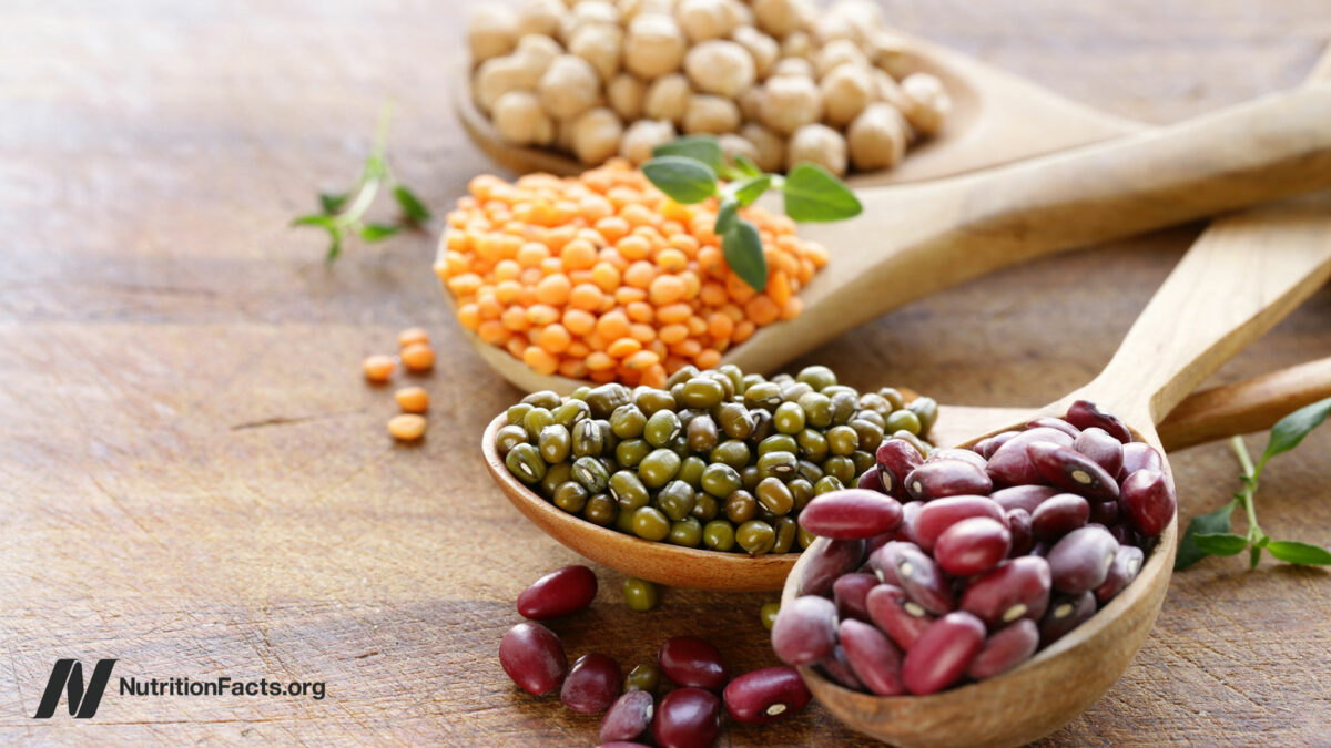 variety of dry beans on spoons